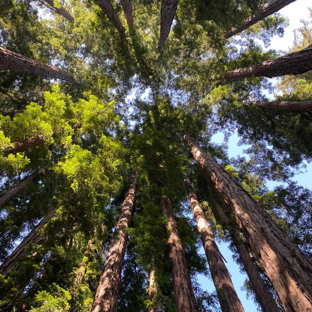 Meet your Posher, Alana